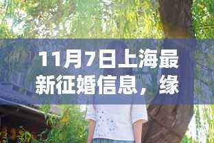 上海暖阳下的缘分集结号,最新征婚奇遇记