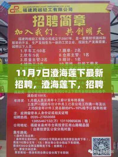 澄海莲下招聘日,遇见小幸运与温情故事