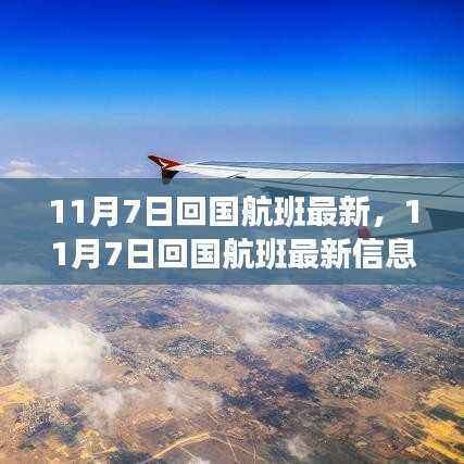 11月7日回国航班最新信息及选购攻略