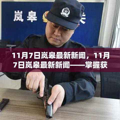 掌握获取新闻与完成任务技能的全面指南,岚皋县最新新闻报道