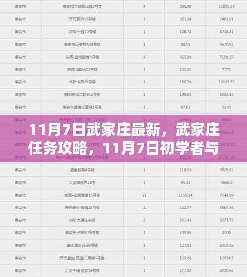 11月7日武家庄任务攻略与初学者进阶指南