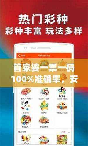 管家婆一票一码100%准确率,安全策略深度剖析——TUX170.84学习版