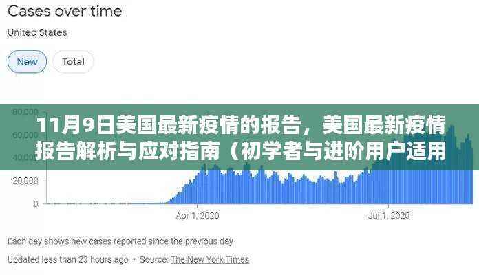 美国最新疫情报告解析与应对指南，从初学者到进阶用户的全方位指南（11月9日更新）