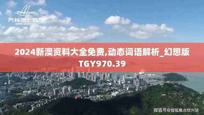 2024新澳资料大全免费,动态词语解析_幻想版TGY970.39
