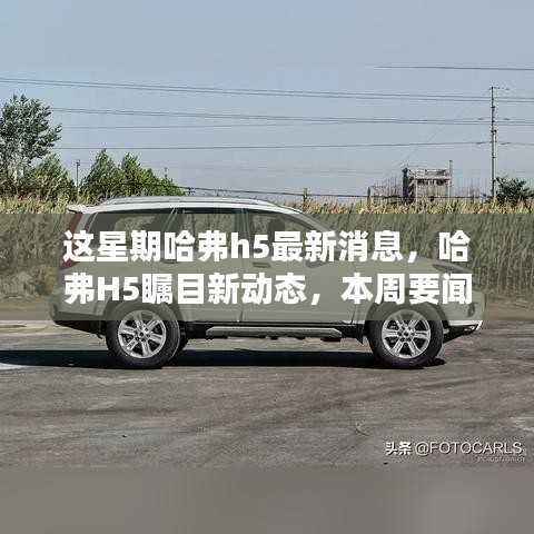 哈弗H5本周瞩目新动态,深度解析最新消息与要闻速递