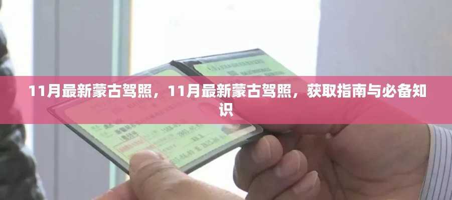 最新蒙古驾照获取指南及必备知识解析