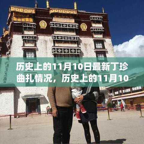 历史上的11月10日丁珍曲扎深度解析与最新进展报告