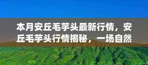 对答如流 第36页