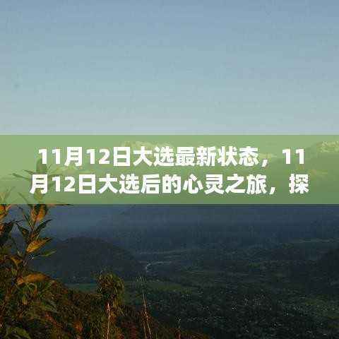 11月12日大选后的心灵之旅,探寻自然美景,重塑内心宁静
