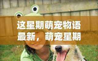萌宠星期语的温馨日常,友情、欢乐与家的纽带,本周最新更新!
