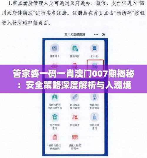 管家婆一码一肖澳门007期揭秘:安全策略深度解析与入魂境AYP304.33探索
