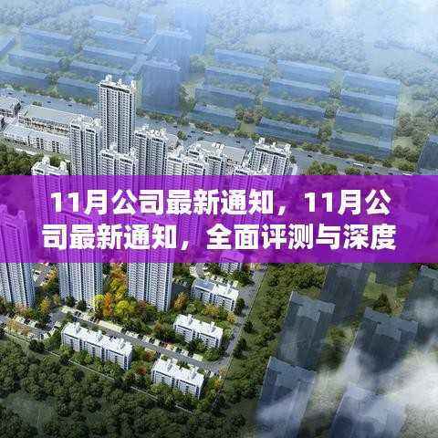 最新深度评测与全面介绍,公司十一月通知概览
