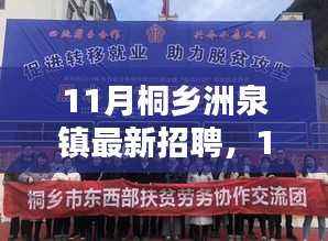 11月桐乡洲泉镇最新招聘及招聘产品全面评测介绍