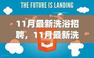 深度解析,11月最新洗浴行业招聘现象与观点阐述