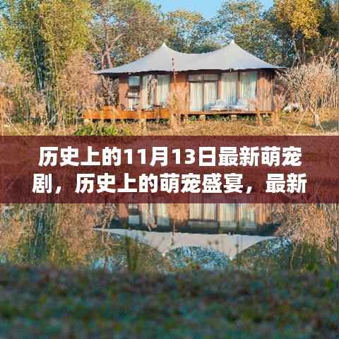 萌宠盛宴,最新剧集深度评测与介绍,历史上的萌宠日回顾