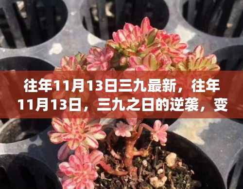 往年11月13日,三九逆袭日,自信与成就感激发学习激情之路
