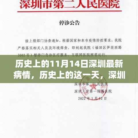 历史上的这一天,深圳疫情变迁的微观记录与宏观影响(11月14日篇)