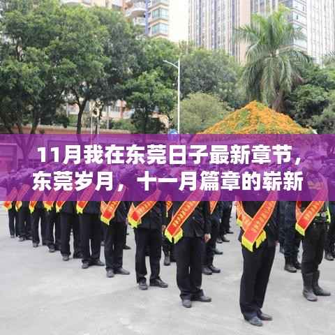 东莞十一月新篇章,岁月回响与日常更新