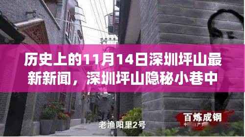 深圳坪山隐秘小巷特色小店传奇故事,味觉奇迹揭秘,11月14日最新新闻速递