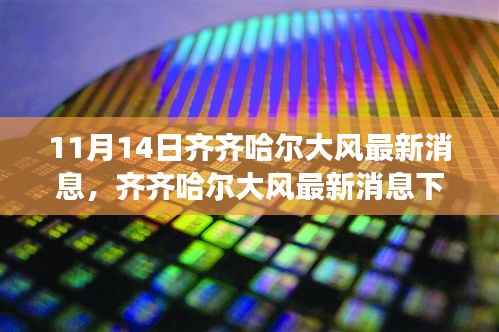 齐齐哈尔大风最新消息,观点探析与我的立场 11月14日更新