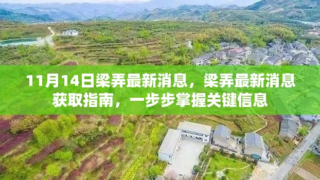 梁弄最新消息获取指南,掌握关键信息的步骤与指南(11月14日更新)