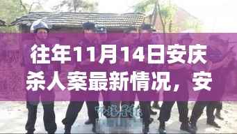 安庆杀人案最新进展与回顾,历年11月14日案件反思