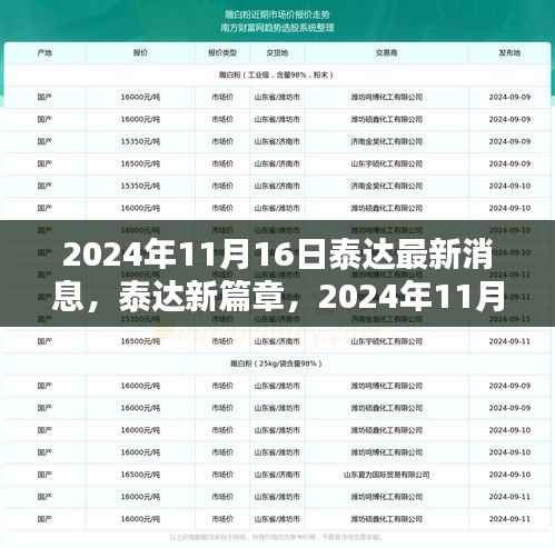 泰达最新动态,2024年11月16日的新篇章与温馨日常