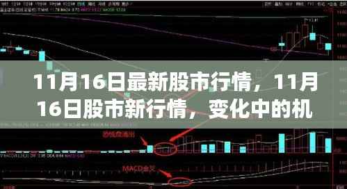 11月16日股市行情变化中的机遇,学习提升自信与成就感