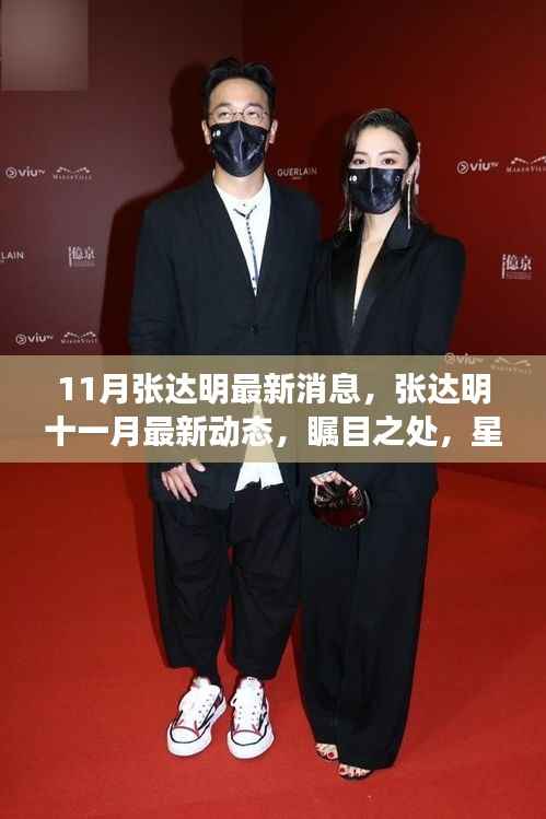 张达明十一月最新动态,星光依旧闪耀,瞩目之处引人关注