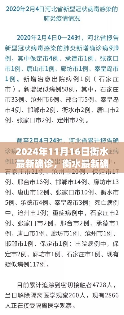 衡水最新确诊情况解析及科普解读(日期,2024年11月16日)