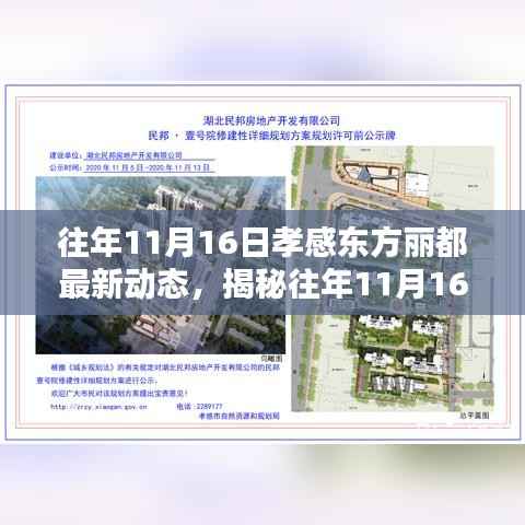 揭秘往年11月16日孝感东方丽都最新动态,精彩瞬间一览无余!