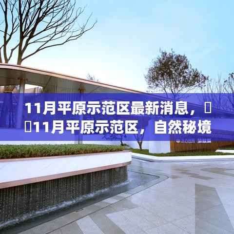 11月平原示范区最新动态,自然秘境之旅的呼唤,探寻内心平和的奇妙旅程