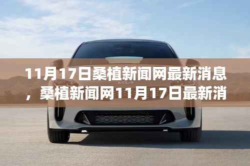 时代脉搏下的新篇章,桑植新闻网最新消息综述