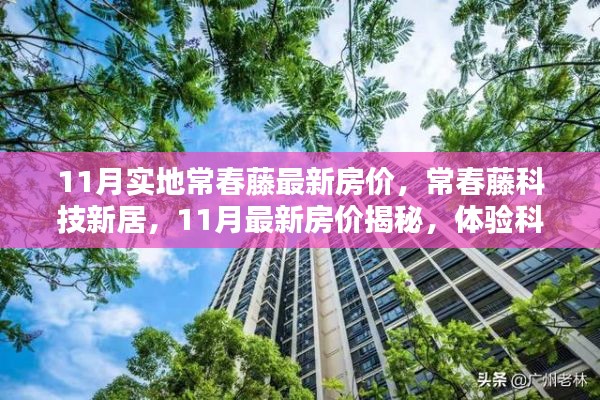 揭秘常春藤科技新居最新房价,体验科技生活新纪元
