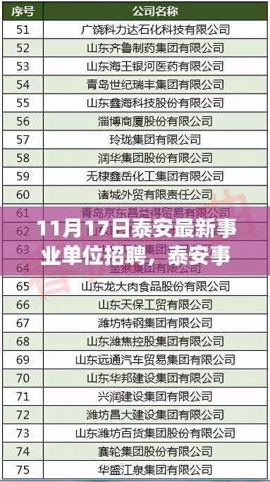 泰安事业单位招聘盛启新篇章,探寻背后的深意与影响(11月17日最新招聘)