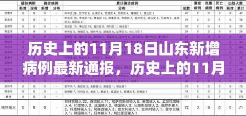 历史上的11月18日山东新增病例最新通报,深度分析与评估