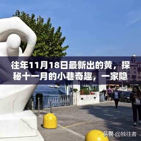 揭秘十一月小巷的神秘魅力,隐藏版黄色新潮流特色小店探秘之旅