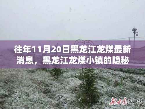 黑龙江龙煤小镇隐秘瑰宝探秘,特色小店的神秘面纱揭晓