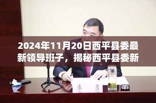 揭秘西平县委全新领导班子,领导团队的未来展望与全新面貌(2024年11月20日)
