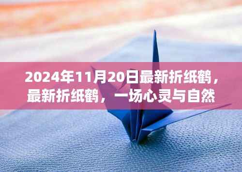 最新折纸鹤,心灵与自然的奇妙旅程(日期,2024年11月20日)