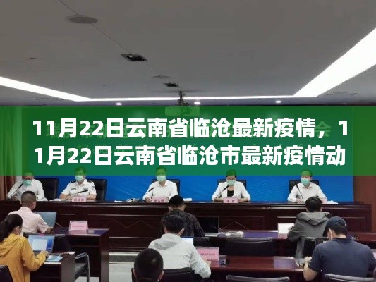 云南省临沧市最新疫情动态,11月22日疫情更新及防控措施分析