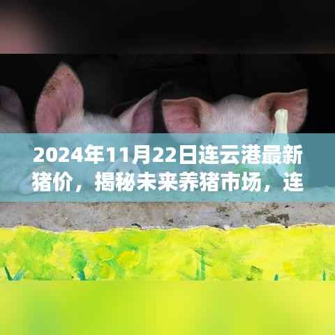 揭秘未来养猪市场,连云港最新猪价与科技产品体验报告(附预测)