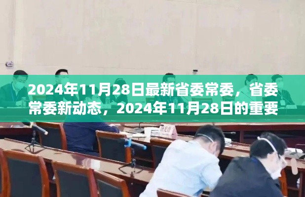 关于省委常委的最新动态,2024年11月28日的更新与重要时刻回顾