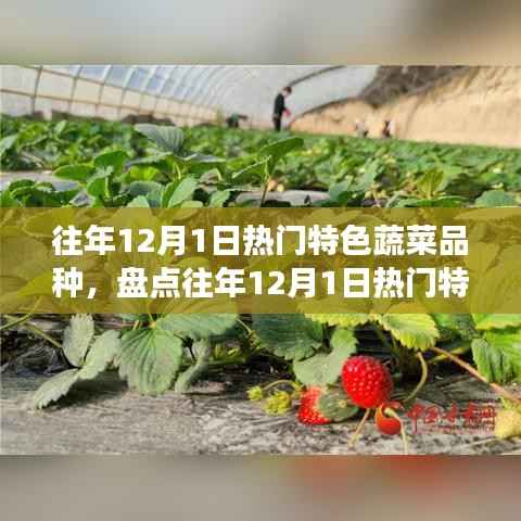 盘点往年12月1日热门特色蔬菜,你的菜篮子准备好了吗?