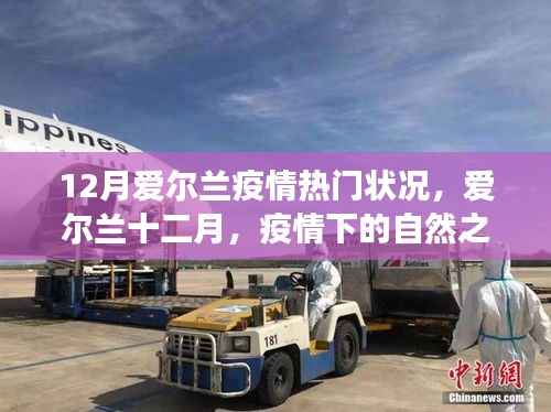 爱尔兰十二月疫情下的自然之旅,寻找心灵宁静与欢笑的旅程