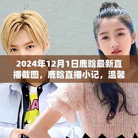 鹿晗直播小记,友谊的温暖瞬间——鹿晗最新直播截图回顾(温馨直播夜)