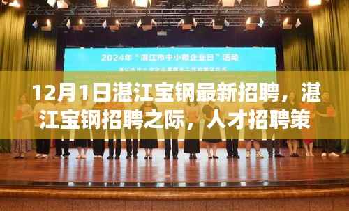 湛江宝钢招聘季,人才策略与个人发展之路探寻