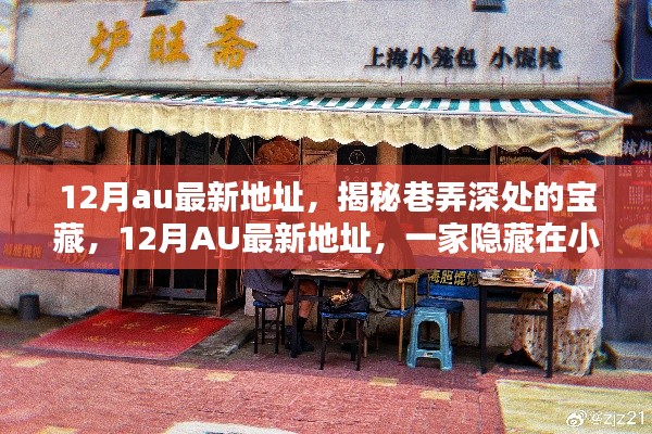 揭秘巷弄深处的宝藏,12月AU最新地址特色小店探秘