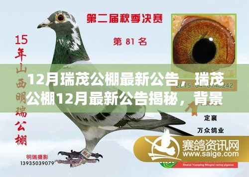 揭秘瑞茂公棚12月最新公告,背景、事件与深远影响全解析