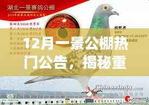 揭秘重磅公告,12月一景公棚最新科技公棚产品引领未来生活革新体验